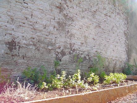LIMA, I. G.; BARROCA, B. B.; MIRANDA, A. C. P.; D OLIVEIRA, P. S. 107 comprimento x 1,0 m de largura) foi localizado rente a um muro de aproximadamente 3 metros de altura.