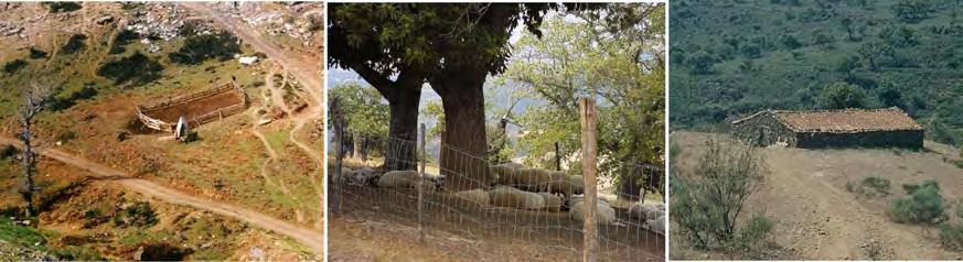 Quadro 3.4 - Tipologia das instalações de ovinos e caprinos em Trás-os-Montes.