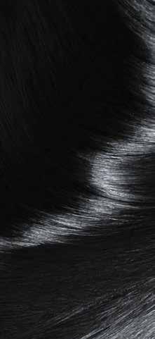 Linha Profissional Hydrahair Line Linha de hidratação profissional interna e externa dos fios. Para todos os tipos de cabelo. SHAMPOO HYDRA HAIR Reequilibra o ph.
