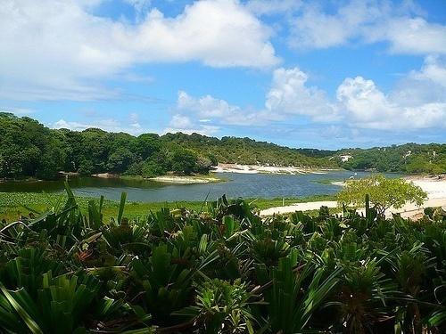 Parque do Abaeté Criação: Lei Municipal Nº3.392 de 30.09.