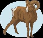Origem e seleção natural O tronco original dos ovinos domésticos deve ser procurado no gênero Ovis e, dentro deste, nos grupos de ovinos selvagens representados por Argali (Ovis ammon), Urial (Ovis