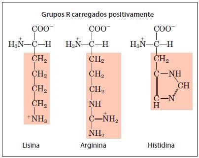 Classificação de acordo com o grupo R Os grupos R mais