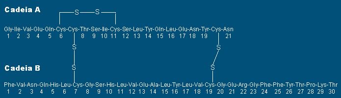 = 3 x 2 x 1 = 6) QUANTIDADES DE LIGAÇÕES E DE >Insulina [Homo sapiens]