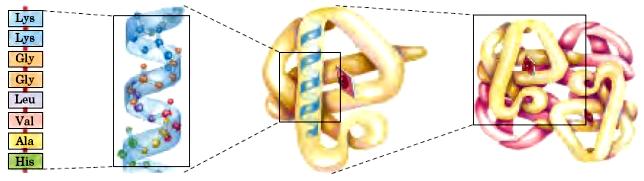 - CLASSIFICAÇÃO - CLASSIFICAÇÃO B. Proteínas conjugadas (complexas ou heteroproteínas) Após hidrólise, produem a a.a. e outros compostos denominados grupos prostéticos.