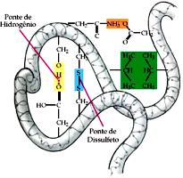 chamada de random coil (super hélice).