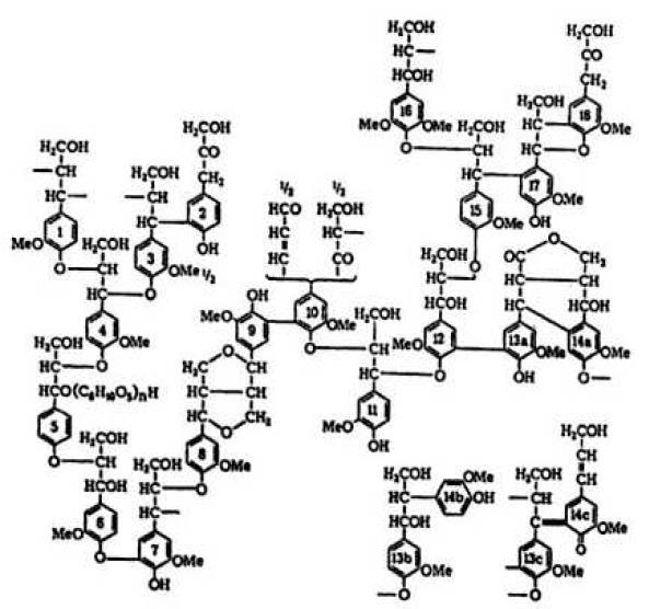 68 Figura 34 Estrutura molecular parcial de um tipo de lignina. Fonte: GRIPA, 2009.
