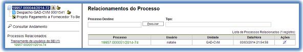 Ao clicar na informação, o sistema mostrará o número do processo. Ao clicar neste número, o sistema abrirá o processo e, então, o processo anterior passa a figurar como processo relacionado.