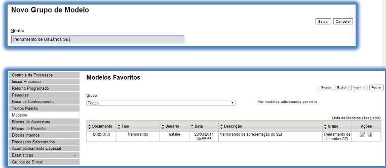 Para tanto, basta clicar no número do processo do qual se deseja salvá-lo, clicar no documento desejado (na árvore de documentos), selecionar o ícone.