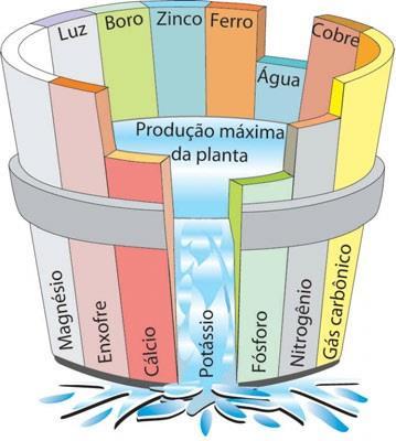 Nutrição Lei do mínimo Reposição não adequada dos nutrientes Variedades mais produtivas = extração Lei do mínimo (Lei de