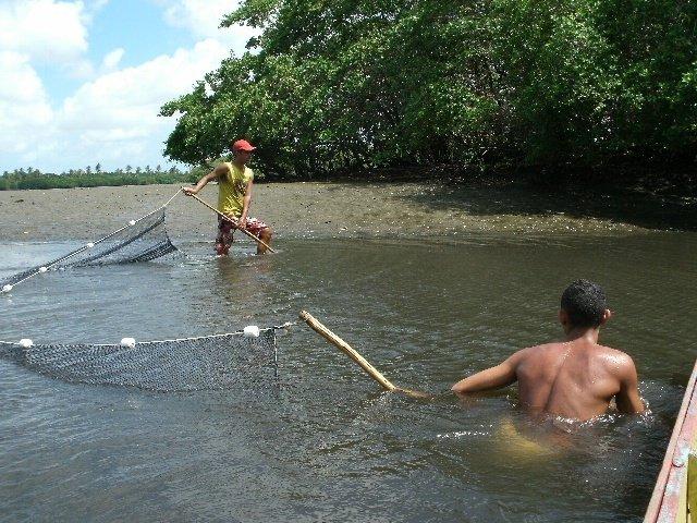 18 Em cada ponto foram obtidos os parâmetros abióticos: temperatura da água ( o C - termômetro do phmetro), temperatura do ar ( o C - termômetro digital portátil), salinidade