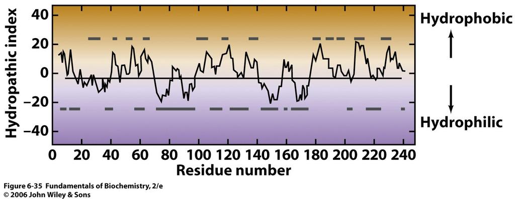 2.3 Estrutura Secundária 2.