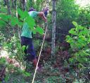 Algumas das espécies vegetais identificadas por ele na mata foram: Ervamate (Ilex paraguariensis), Figura 23: Croqui desenhado no ano de 2000 para o Sítio RS 128 CXS Açoita-cavalo (Luehea