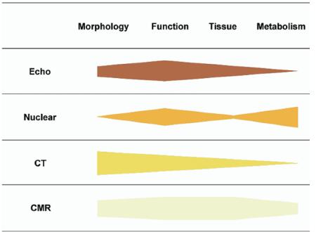 Papel das diferentes técnicas de imagiologia