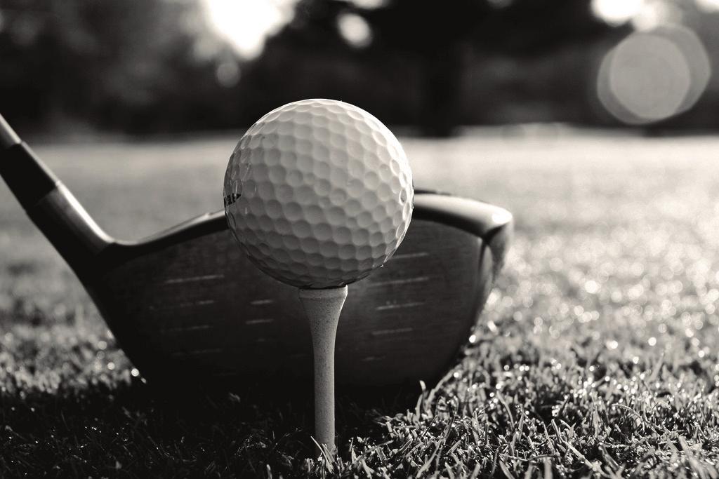 Golfe e Negócios O Golfe é sempre associado ao mundo dos negócios, pois existem muitos presidentes, diretores e executivos que adotaram o esporte.