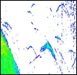 Pré-visualizar Pode ter todo o histórico disponível do sonar apresentado na parte superior do ecrã do sonar.