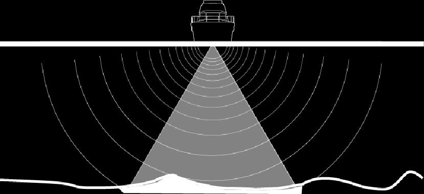 O StructureScan fornece uma ampla cobertura em grande detalhe com o SideScan, enquanto o DownScan fornece imagens detalhadas da estrutura e de peixes diretamente abaixo da embarcação.