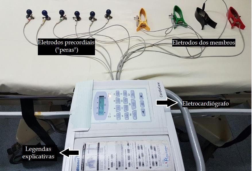 Vamos aproveitar para conhecer um pouco melhor a anatomia do