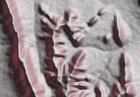 (a) (b) (c) Figura 17 Isolinhas, com eqüidistância de 10 metros, geradas a partir de grades retangulares de MNT do SRTM refinadas