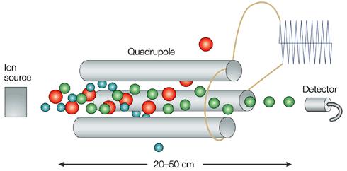 Analisadores - Quadrupolos A trajetória dos íons no quadrupolo são helicoidais. O quadrupolo é o analisador mais empregado em espectrometria de massas.