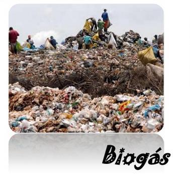 Exemplo de biomassa gasosa: Biogás: É um gás inflamável, produzido a apartir de uma mistura de dióxido de carbono e metano, por meio de bactérias fermentadoras