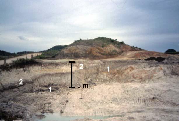 As três seqüências estão separadas por distâncias que variam de 0,5 a 2,0 quilômetros. A seqüência da Figura 2 foi estudada no interior de mina de argila no município de Campo Alegre.