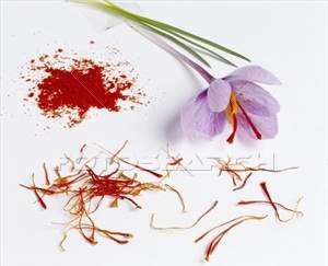 sativus)