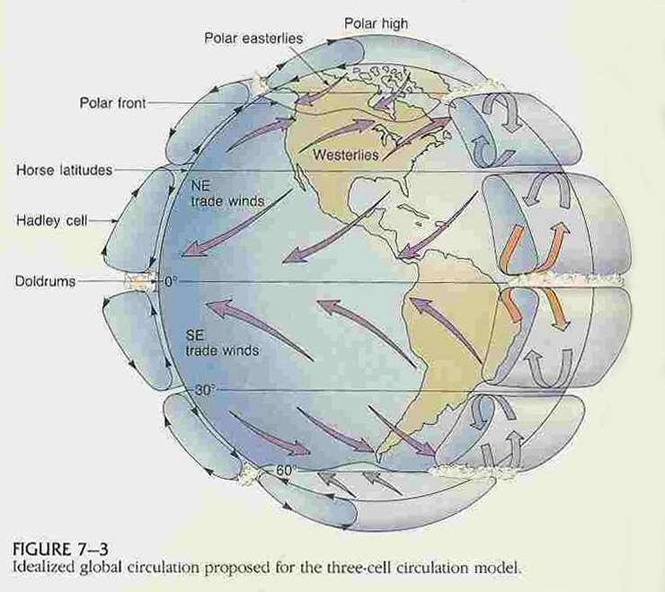 Circulação idealizada considerando a rotação da Terra Observar: Ventos