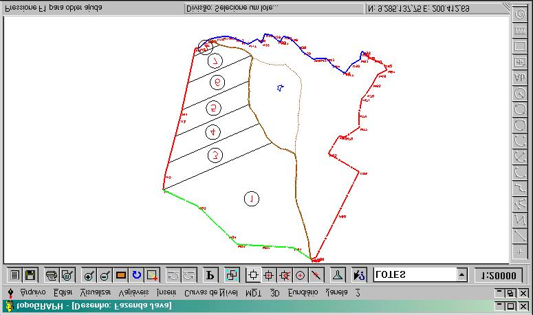 Iniciando o Sistema topograph 98 Módulo Fundiário 7. Depois de executada a divisão, o desenho ficará como mostrado na figura abaixo. 8. Salve o desenho. 9. Vá até o menu Fundiário, escolha a opção Selecionar Lotes.