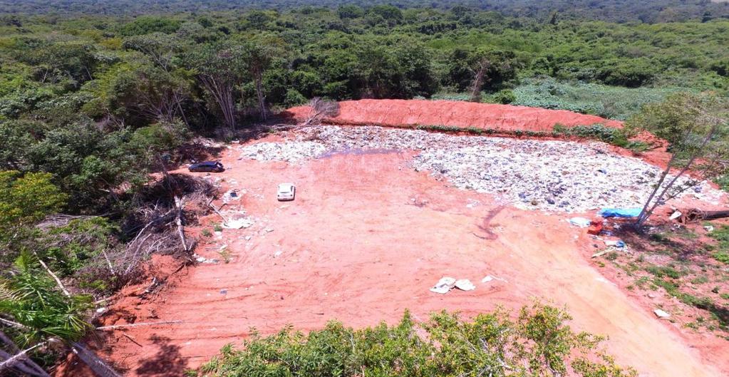 RESULTADOS E DISCUSSÃO Caracterização da área de estudo A vegetação na área do lixão situado na cidade de São Jose do Rio Claro é caracterizada como Bioma Cerrado e Amazônia.
