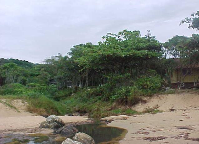 Praia do