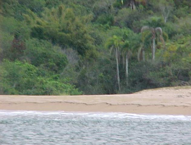 Lagoa, município de Bombinhas, SC.