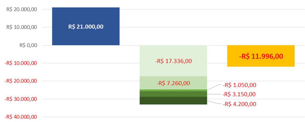 Profissionalização / adequação às leis incrementa pouco na renda e aumenta despesas R$ 2.000 R$ 23.