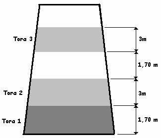 38 A tora 1, da base da árvore, foi utilizada para o estudo da massa específica à umidade de equilíbrio ao ar, enquanto que as toras 2 e 3 foram utilizadas para avaliações dos defeitos oriundos da