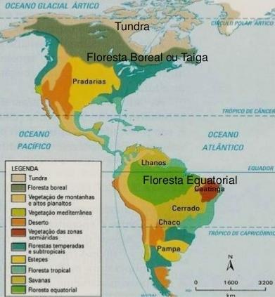 VEGETAÇÃO DO CONTINENTE AMERICANO A América abriga muitos tipos de vegetação, isso acontece devido a sua variedade de climas, solos, assim como seu relevo e