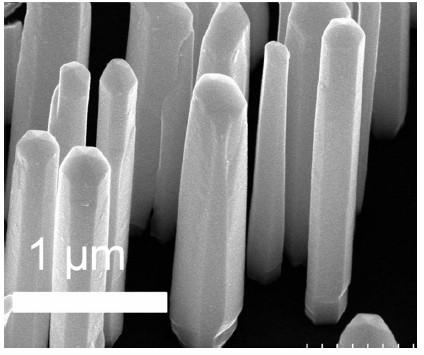 12 1 Introdução Um dos ramos da ciência mais comentados atualmente, a nanotecnologia permite o estudo de objetos em escala atômica e molecular.