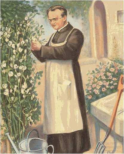 1º Lei de Mendel O trabalho de Mendel Gregor Mendel nasceu em 1822 na Áustria. Desde criança observava e estudava a reprodução de plantas. Aos 21 anos entrou para o mosteiro da ordem dos agostinianos.