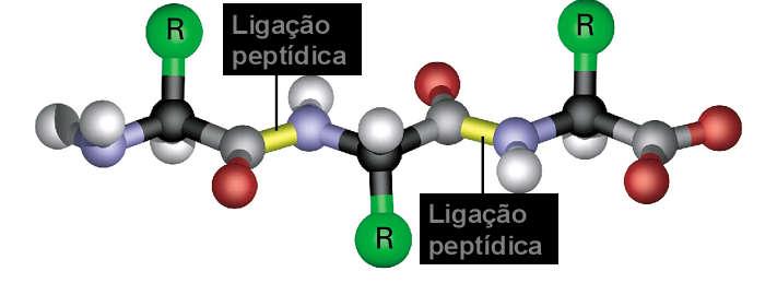 Estrutura terciária Interações fracas (não covalentes) entre átomos da cadeia lateral