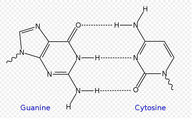 hidrogênio que está ligado covalentemente a um outro átomo