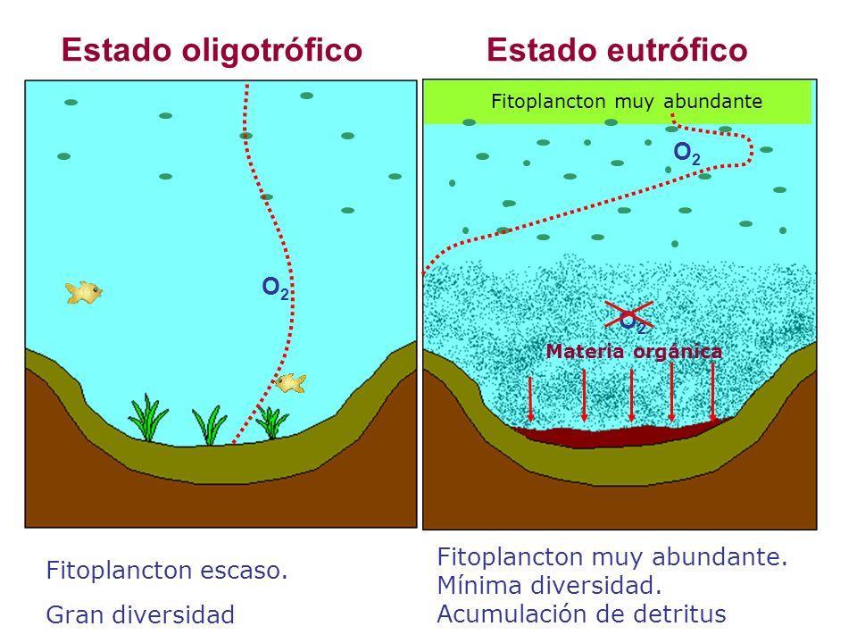 Estado