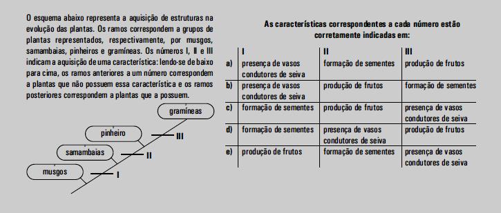 61 Figura 01. Exercício proposto pelo livro didático B3. Fonte: Adaptado de Rodrigues et al., 2011.