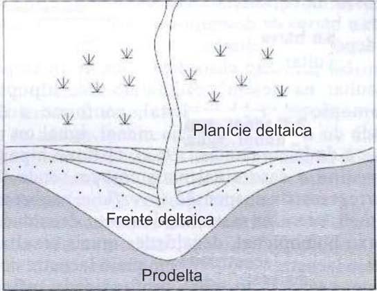 4 assimétrico do delta, bem como na reconstrução das suas fácies sedimentares, sobretudo nos deltas dominados por ondas, onde o papel da deriva litorânea é destacado (BHATTACHARYA e WALKER, 1992;