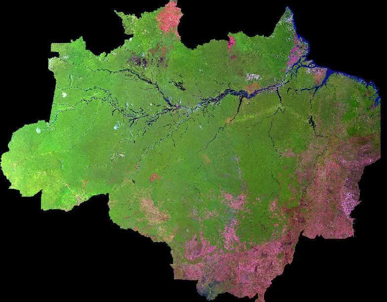 Perspectiva Regional O desafio da Amazônia é ver o desenvolvimento e o uso sustentável dos recursos naturais como oportunidade de desenvolvimento com inclusão