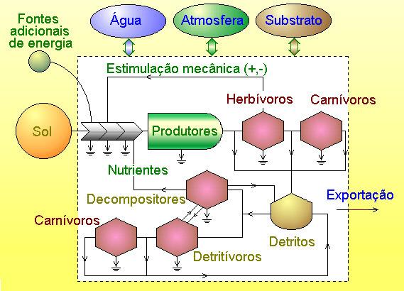 1. Conceitos importantes.