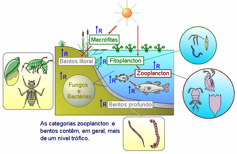 1. Conceitos importantes.