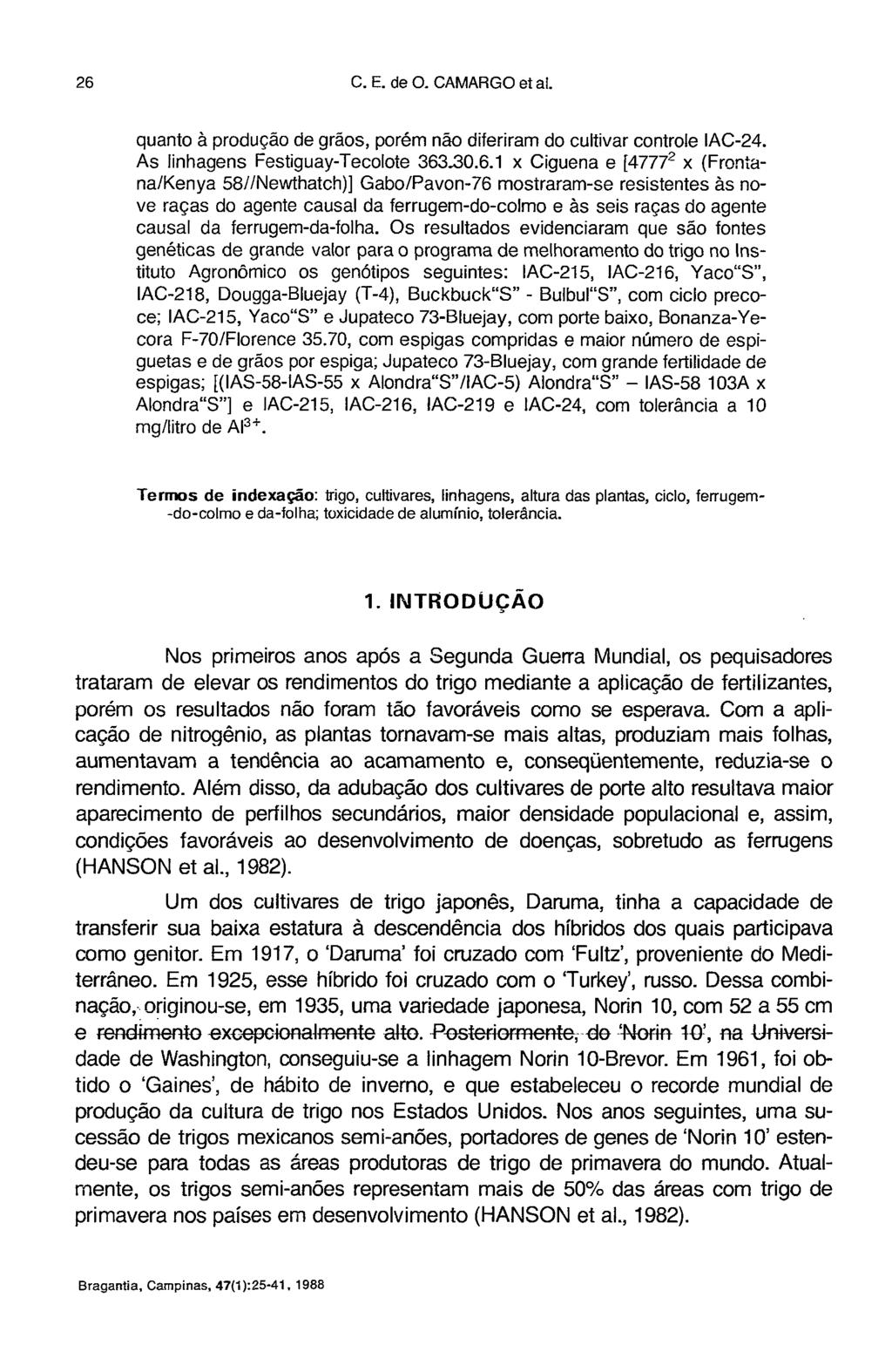 quanto à produção de grãos, porém não diferiram do cultivar controle IAC-24. As linhagens Festiguay-Tecolote 363