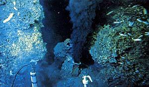 Fonte hidrotermal do Pacífico Este estudada pelo submersível Alvin. Na dependência destas fontes existem estranhos ecossistemas que em nada dependem da luz solar.