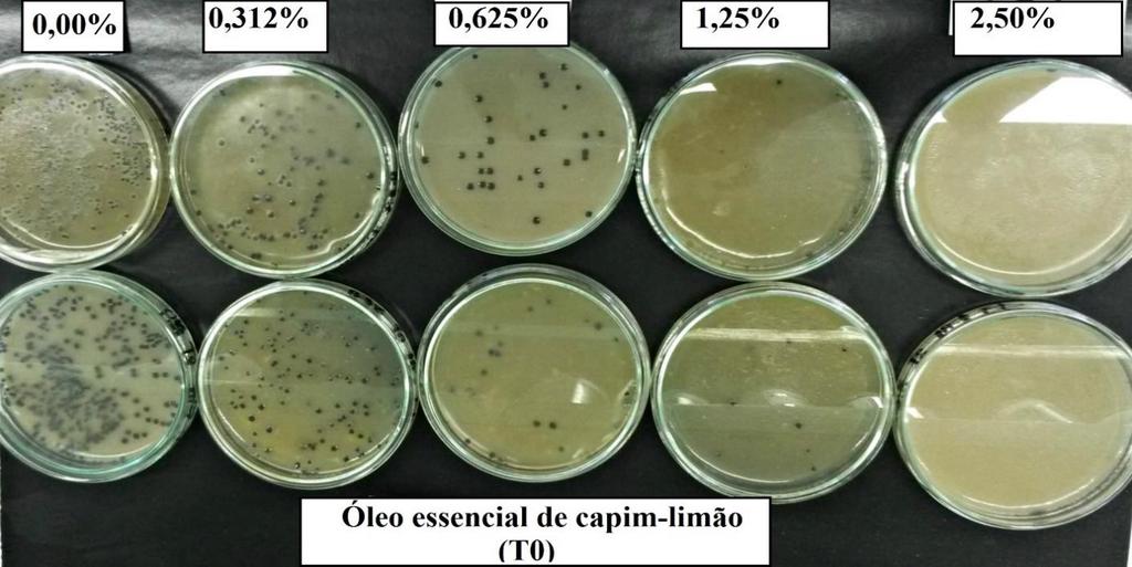 93 óleo essencial de orégano na concentração de 0,625%, demonstrando que ocorreu uma ação sinérgica dos óleos essenciais de orégano e capim-limão, aumentando a ação antimicrobiana do mix.