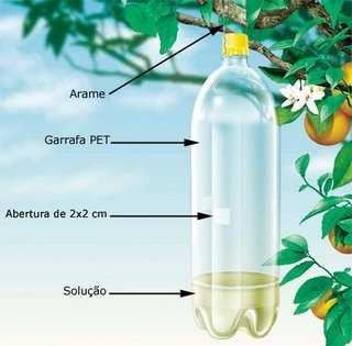 O monitoramento é realizado usando armadilhas contendo 10% de melaço, ou 2% de proteína hidrolizada de milho ou 5% de açúcar, em 300ml de água