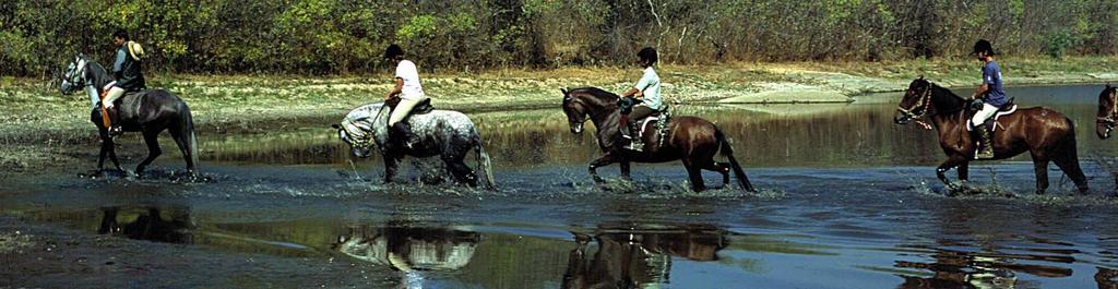 humanos qualificados Paisagens naturais únicas e com forte atractividade