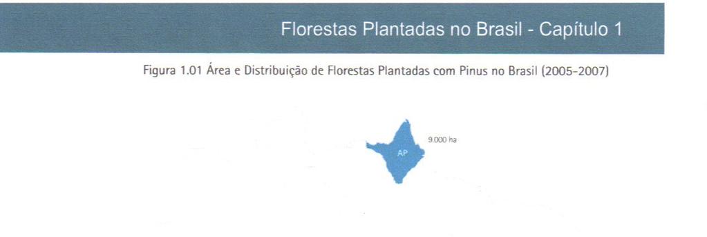 DISTRIBUIÇÃO DE PINUS NO BRASIL Pinus: ano de 2007 plantações por